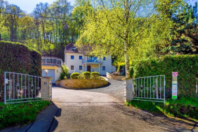Elbvilla Pirna mit Sauna und Kamin mit privatem Zugang zur Elbe